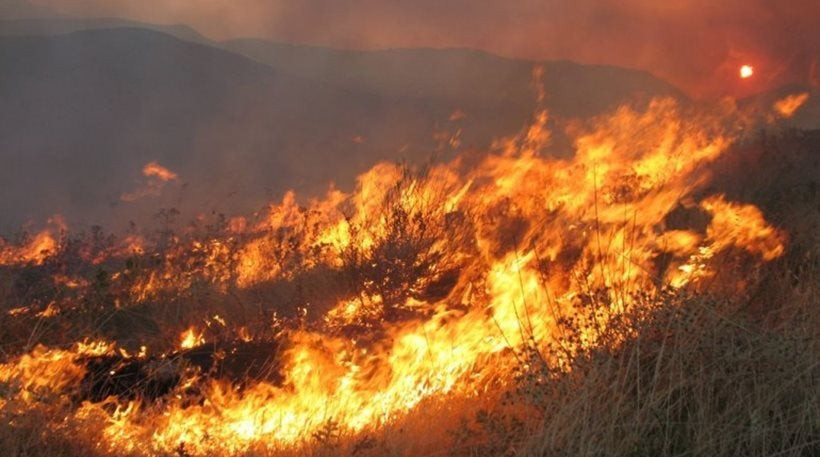 Υπό μερικό έλεγχο η πυρκαγιά στους Γόννους Λάρισας